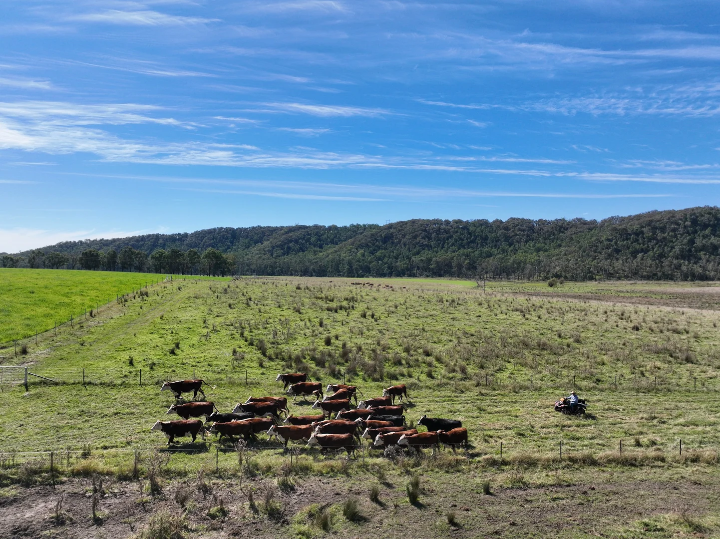 Additional image 21 of 710 Inverary Road, Paddys River NSW 2577