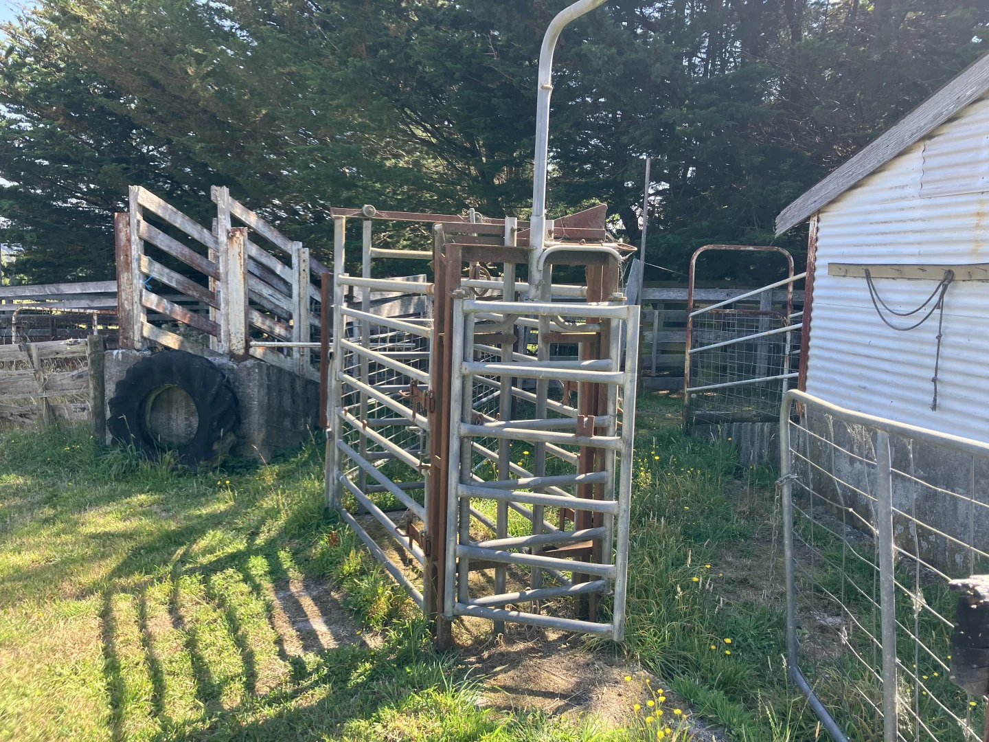 Additional image 24 of 729 Circular Road, Ridgley TAS 7321