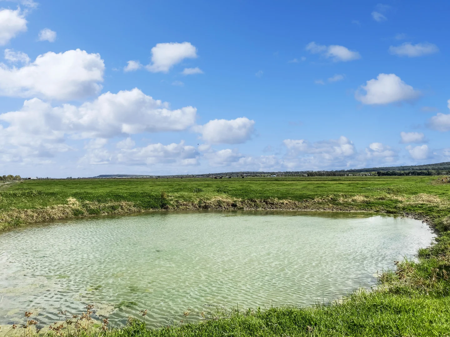 Additional image 3 of 12 Fowler Road, Beelbangera NSW 2680