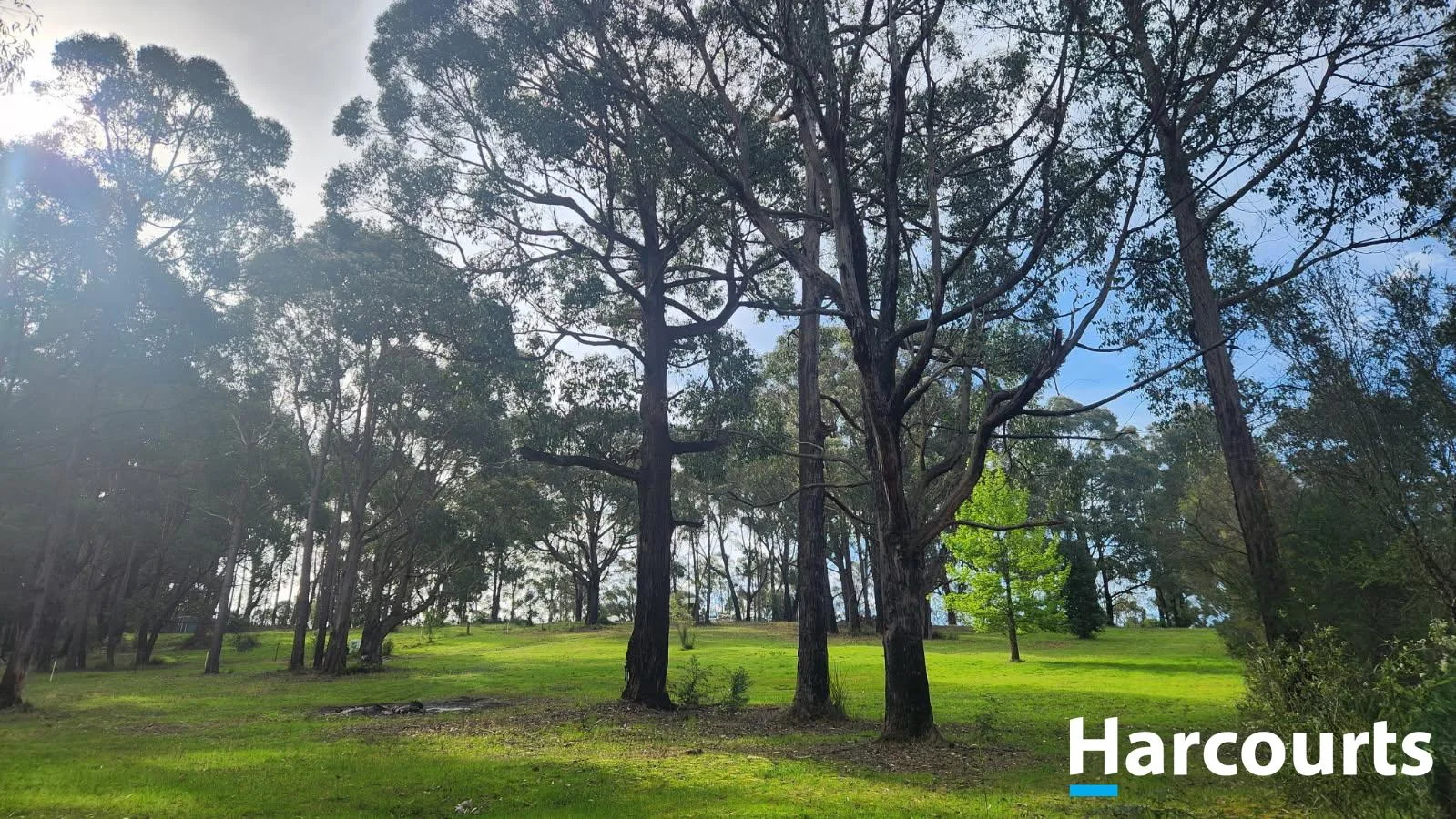 Additional image 12 of 4B Gilfedder Terrace, Mirboo North VIC 3871