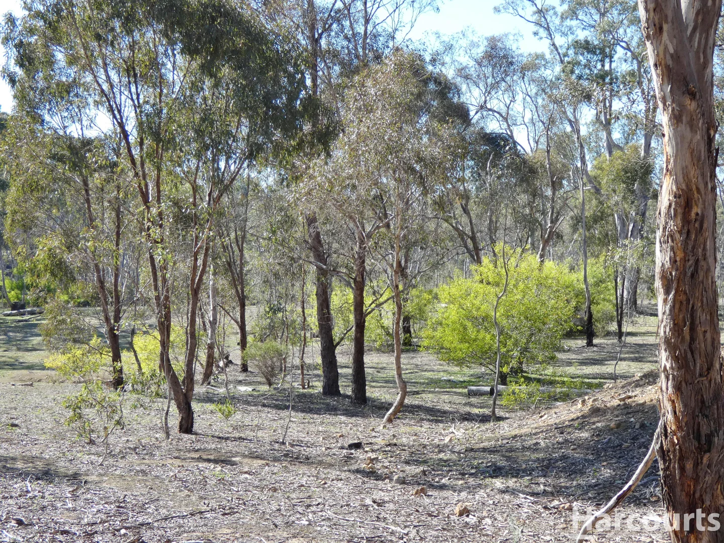 Additional image 30 of . Rocklands Road, Rocklands VIC 3401