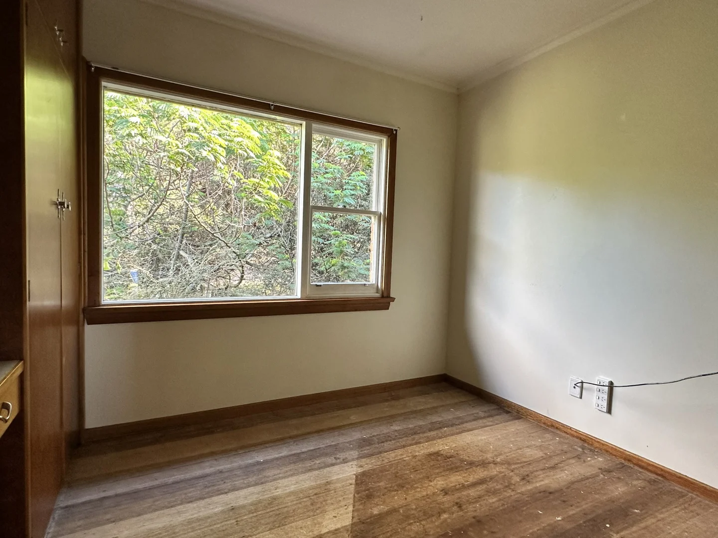 Additional image 14 of 25606 Tasman Highway, St Helens TAS 7216