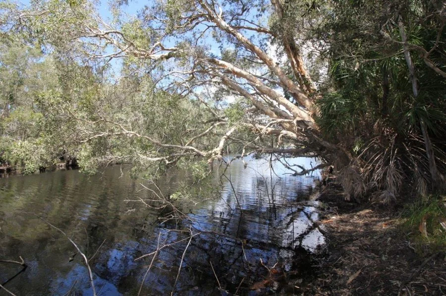 Additional image 31 of 9 Coe Road, Deepwater QLD 4674