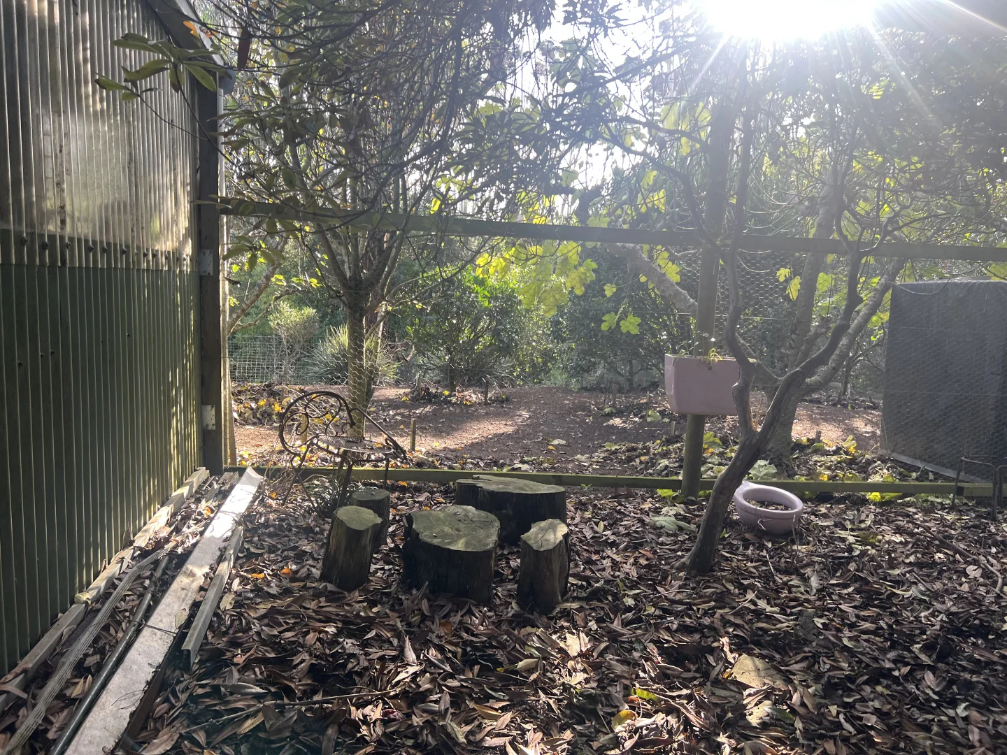 Additional image 38 of 19 Forrest Street, Naracoopa TAS 7256