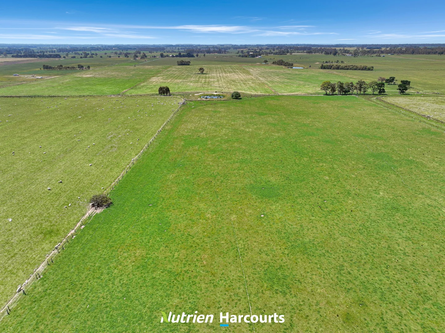 Additional image 9 of 480 Toongabbie-Cowwarr Road, Cowwarr VIC 3857