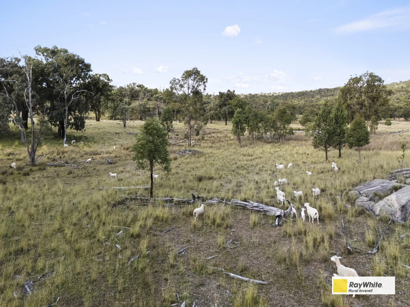 Additional image 49 of 2720 Bingara Road, Bundarra NSW 2359