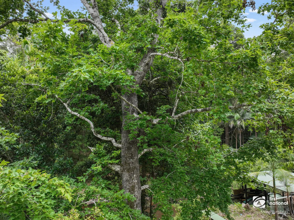 Additional image 22 of 563 Commissioners Creek Road, Commissioners Creek NSW 2484