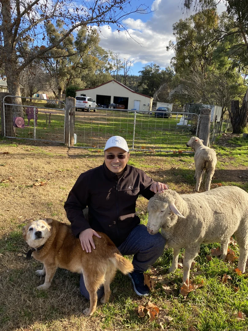 Additional image 11 of 1124 WARKTON ROAD, Coonabarabran NSW 2357