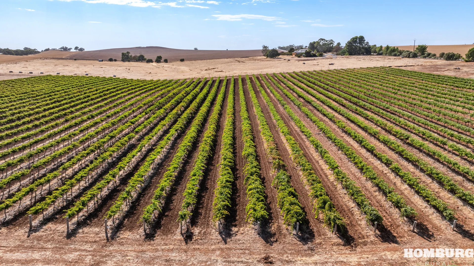 Additional image 24 of 43 Hempel Road, Daveyston SA 5355