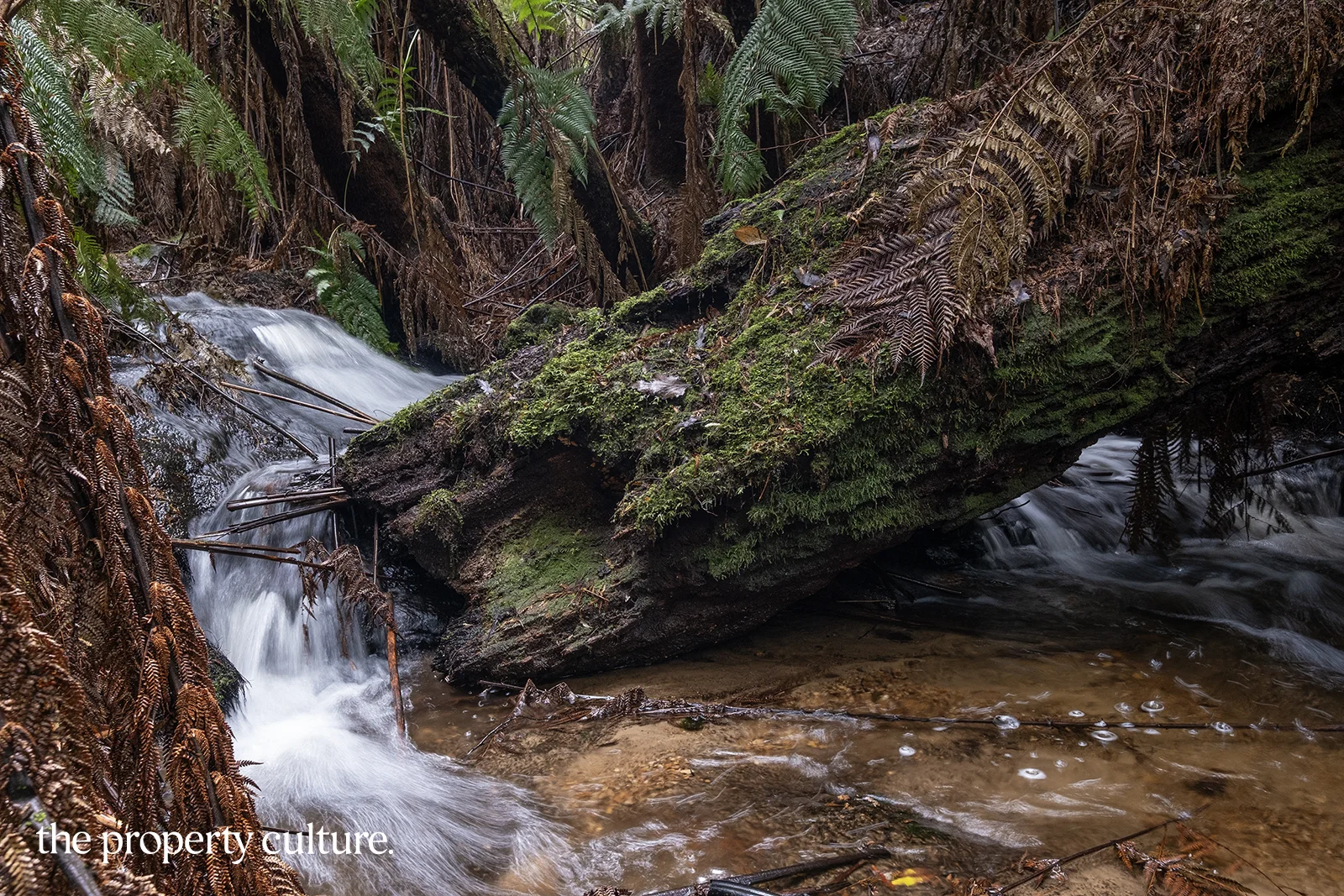 Additional image 7 of 1, 2 & 3 Bakers Creek Rd, Lucaston TAS 7109