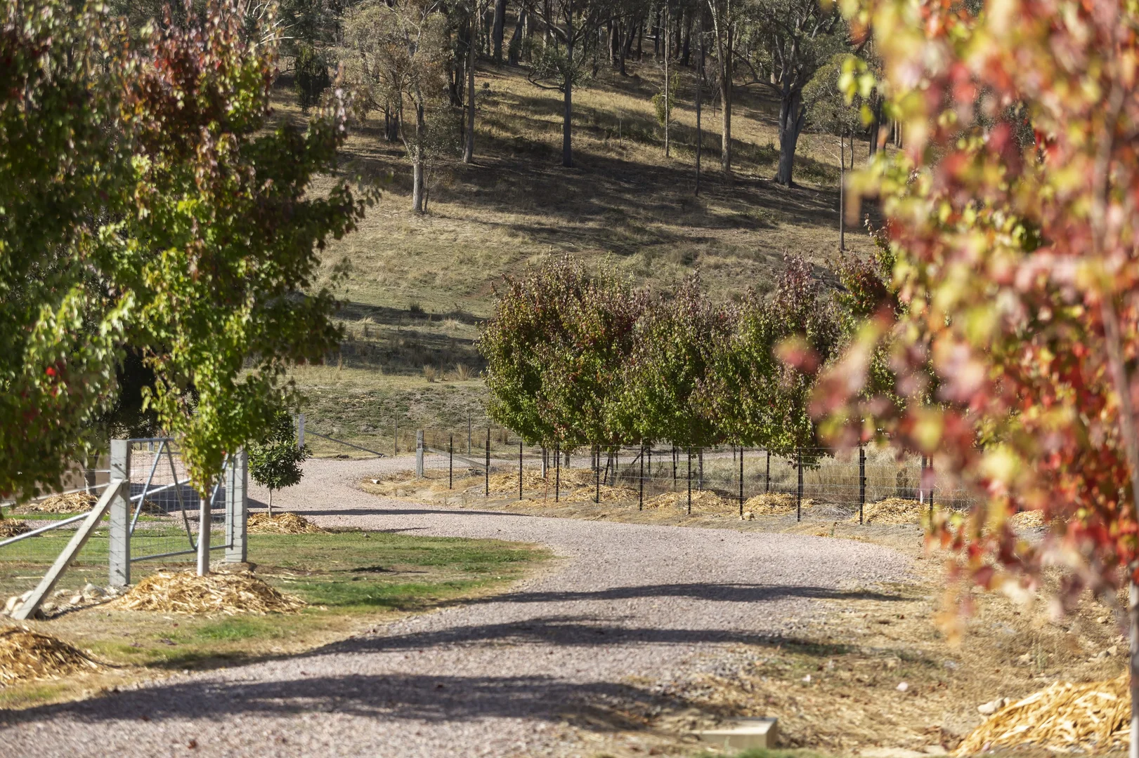 Additional image 18 of 1475 Benalla-Whitfield Road, Myrrhee VIC 3732