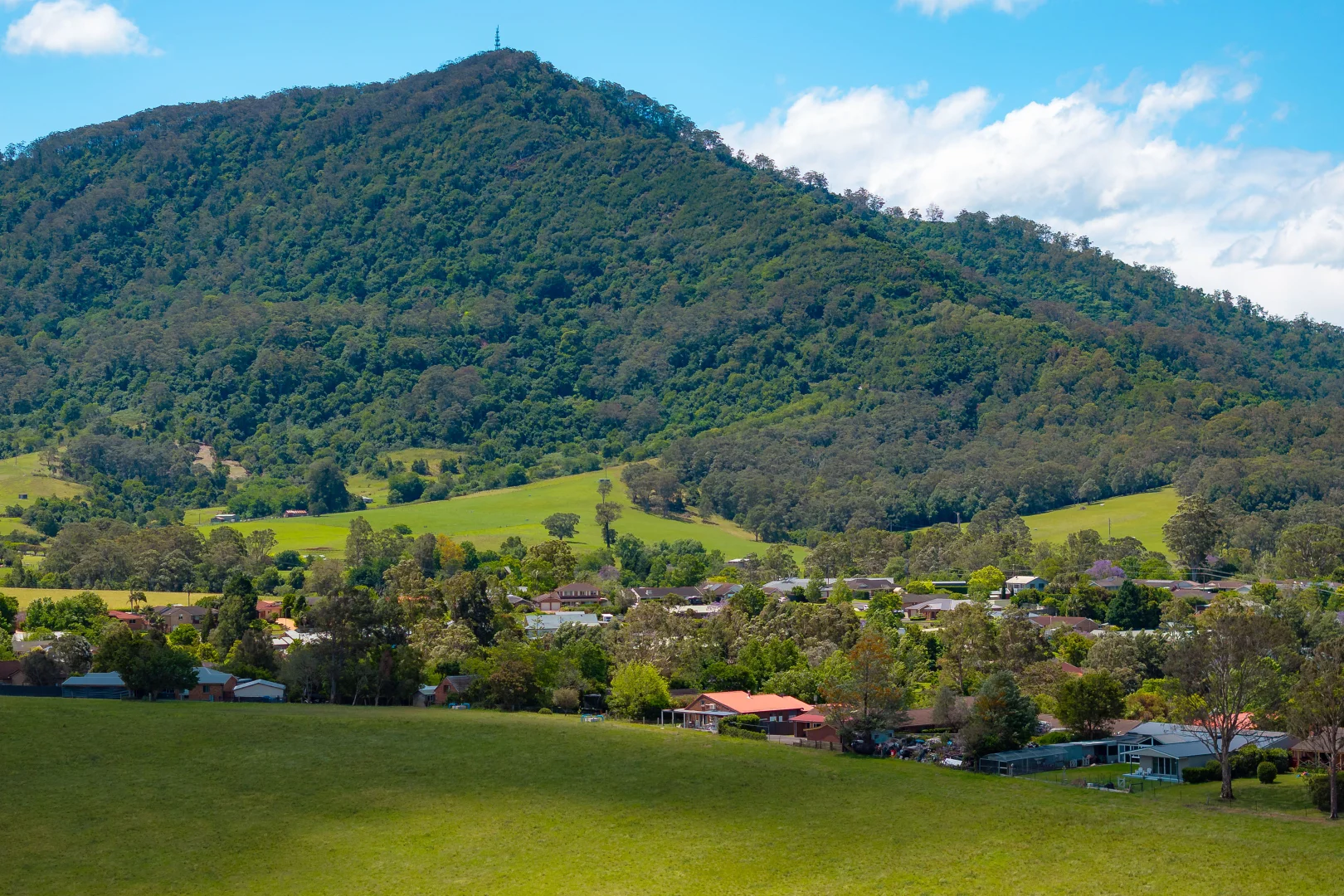 Additional image 28 of 19 Nooramunga Avenue, Cambewarra Village NSW 2540