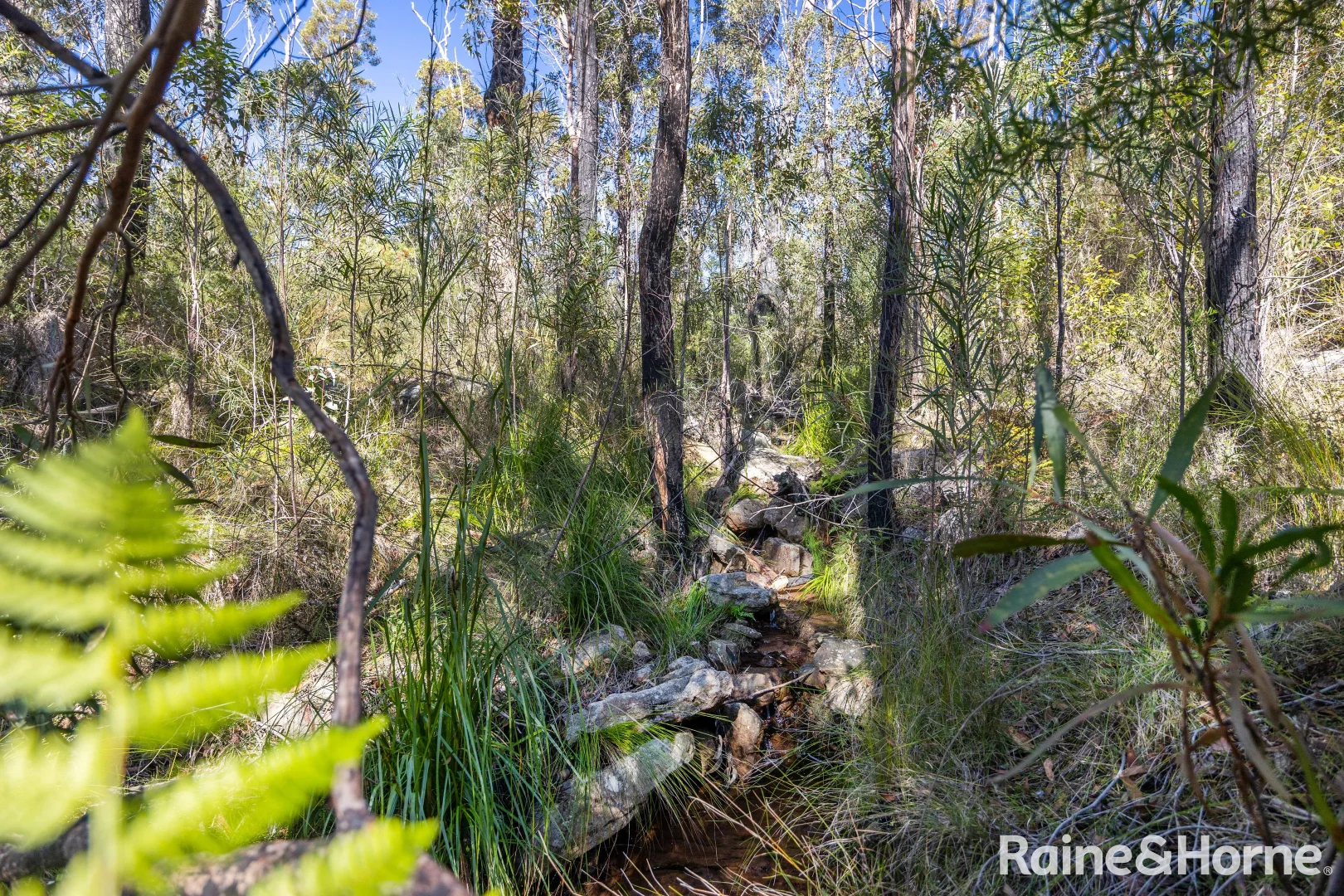 Additional image 8 of Lot 6 of Lot 33 Little Forest Road, Little Forest NSW 2538