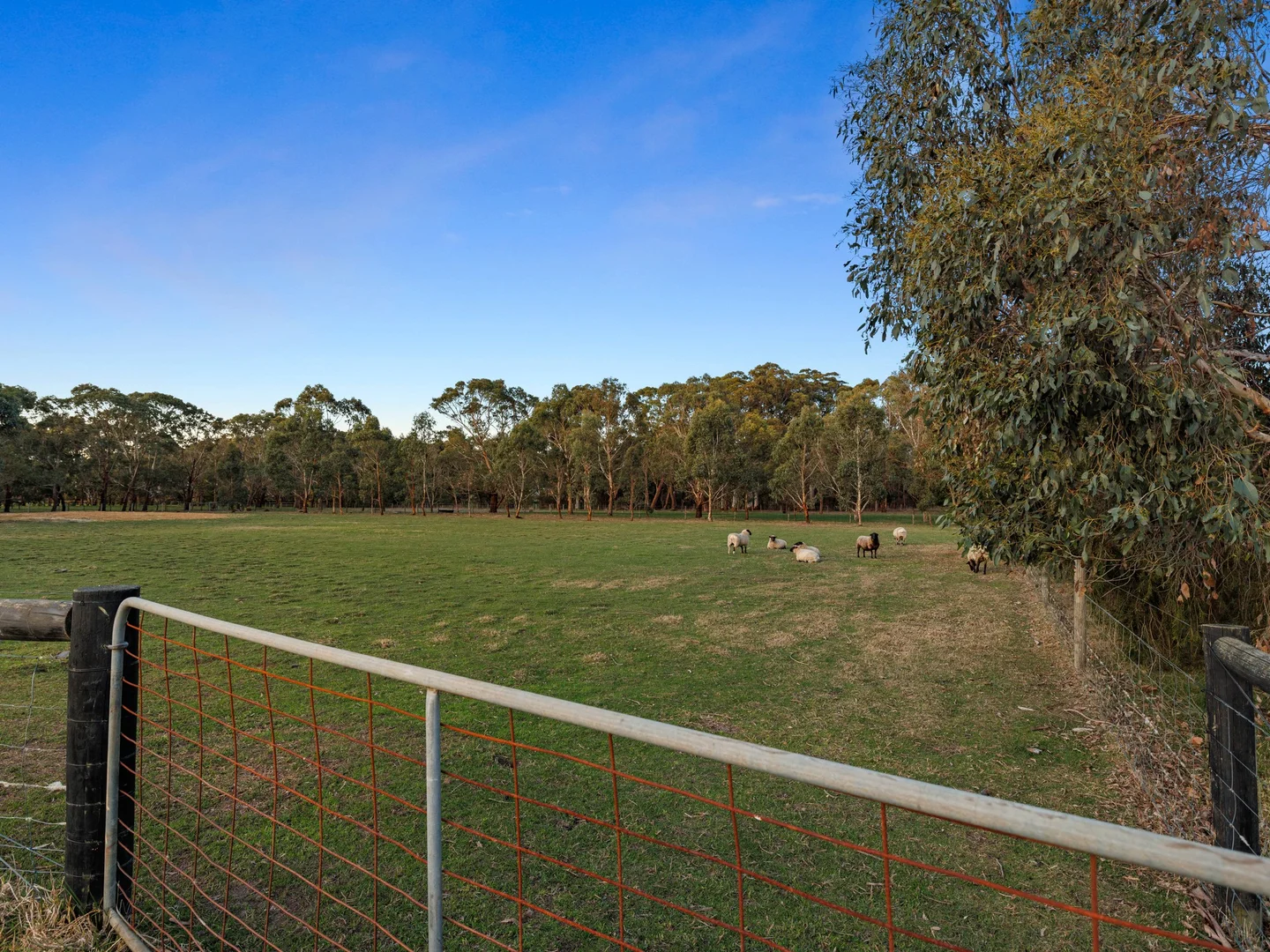 Additional image 16 of 208 Hendersons Road, Hastings VIC 3915
