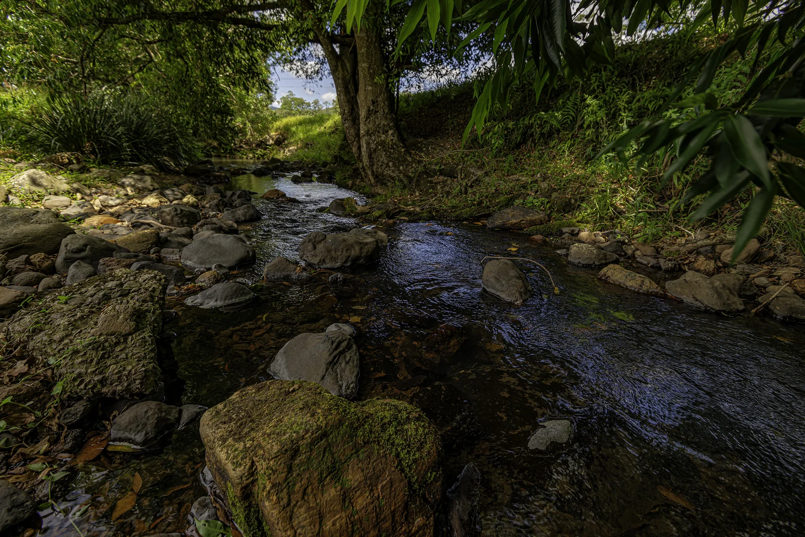 Additional image 51 of 492 River Road, Peachester QLD 4519