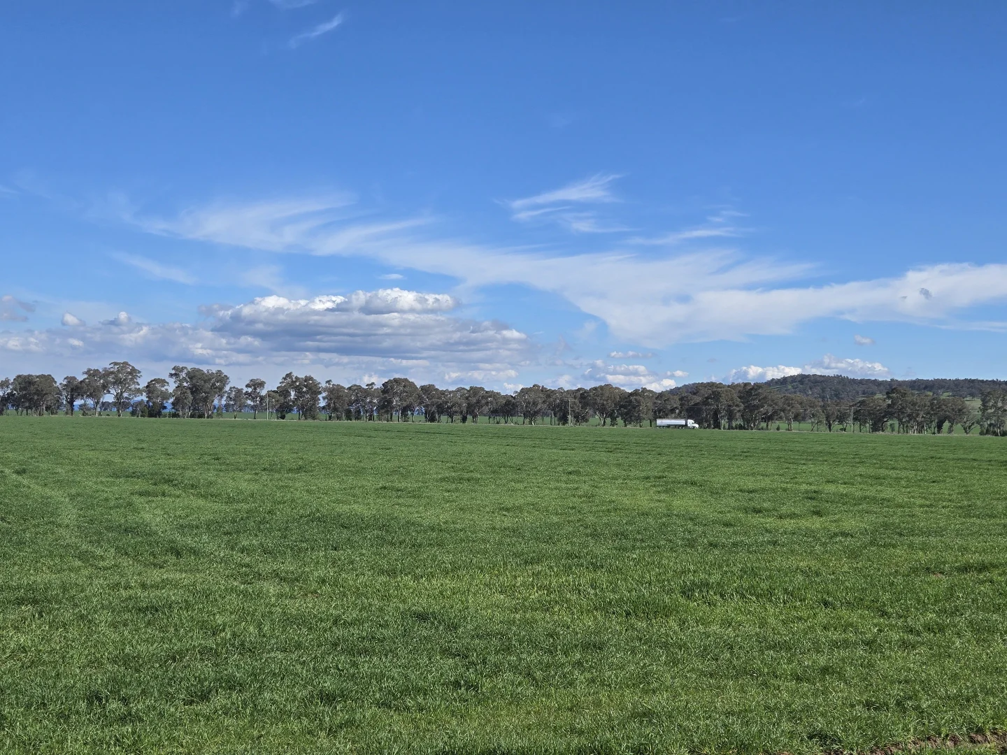 Additional image 11 of 448 Nangar Road, Canowindra NSW 2804