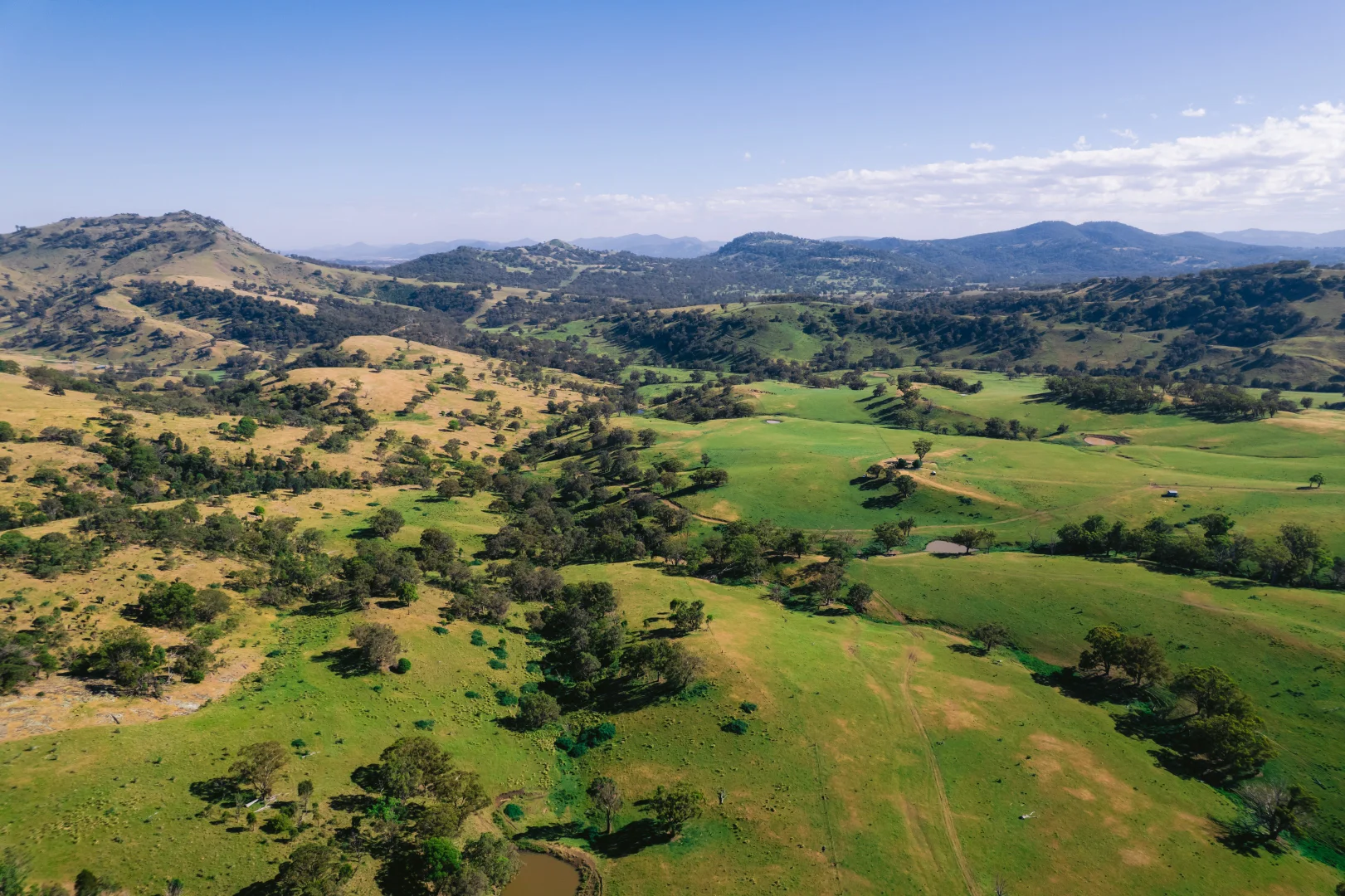 Additional image 15 of 7390 New England Hwy, Willow Tree NSW 2339