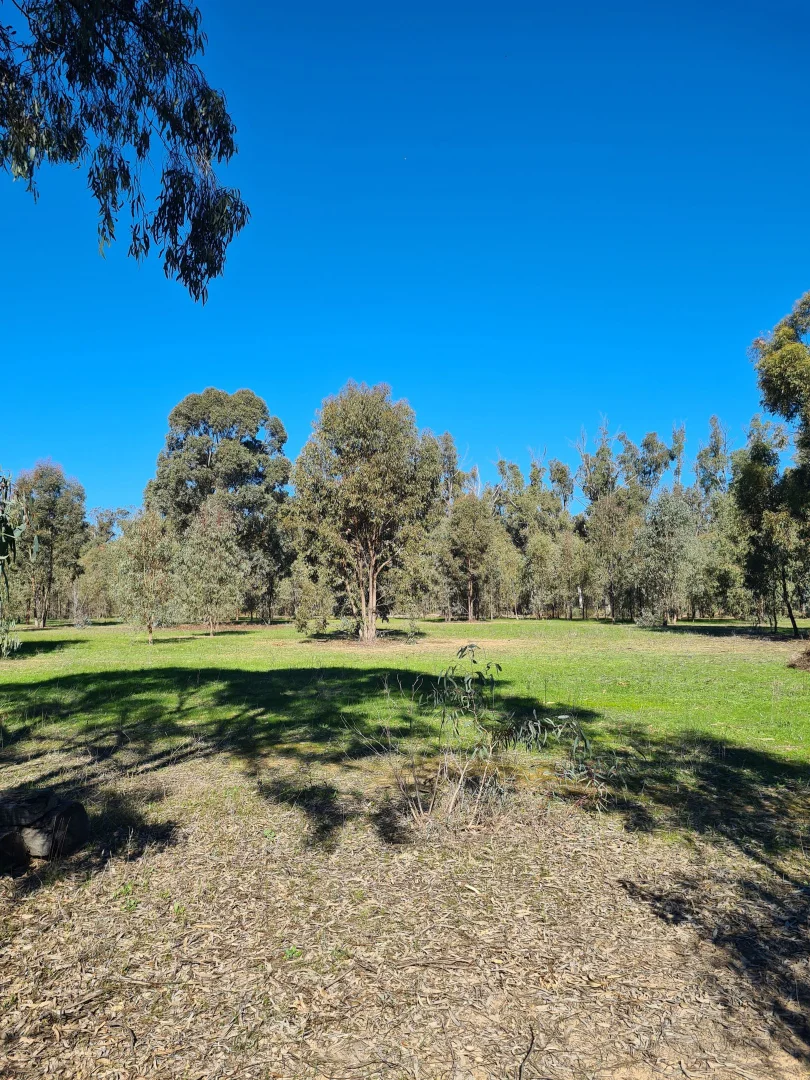 Additional image 28 of 78 Louies Hut Road, Moama NSW 2731