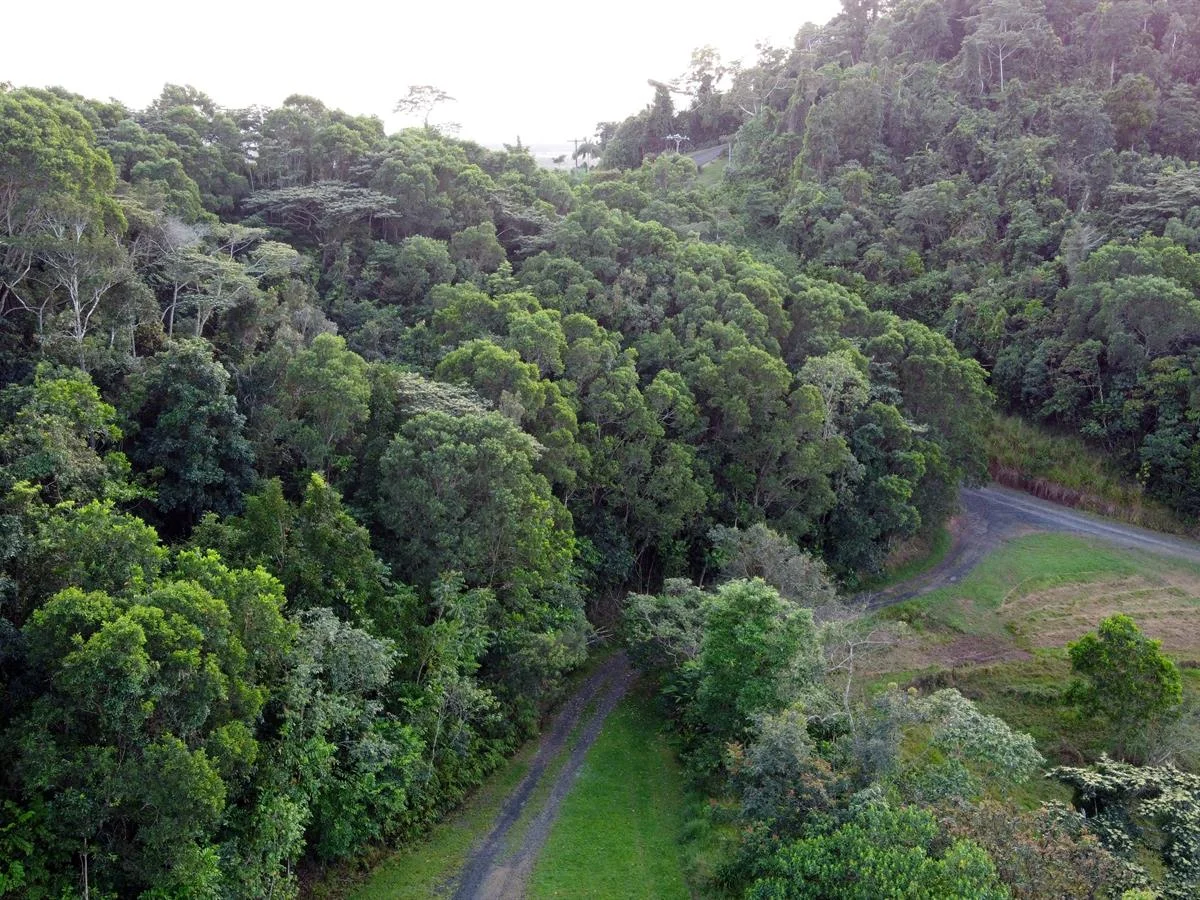 Additional image 7 of 000 Poppi Road, Cowley QLD 4871