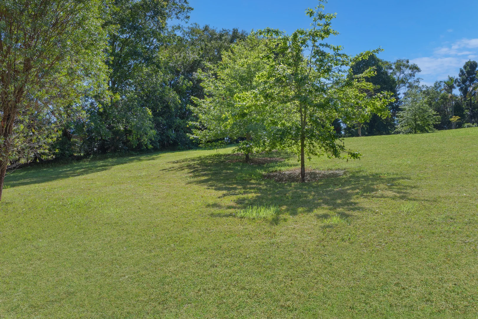 Additional image 16 of 321 Fernleigh Road, Fernleigh NSW 2479