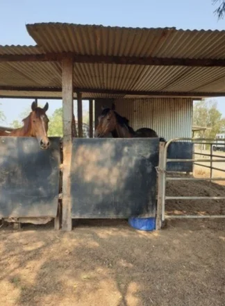 Additional image 6 of 23a Videroni St, Bundamba QLD 4304