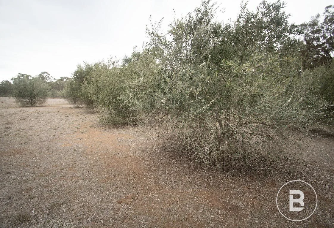 Additional image 12 of 163 Kicks Lane, Dunolly VIC 3472