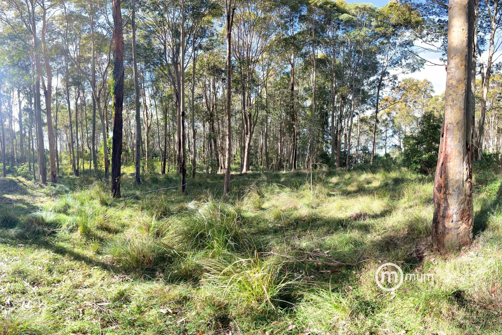 Additional image 15 of - Forster Drive, Bawley Point NSW 2539