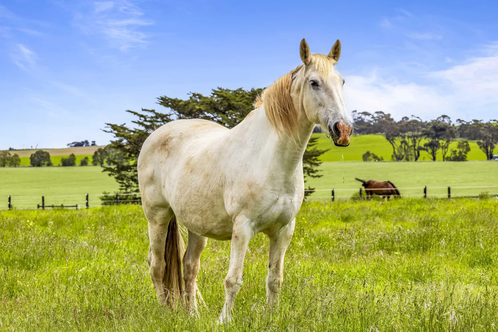 Additional image 20 of Lot 4 Ballarat-Maryborough Road, Miners Rest VIC 3352