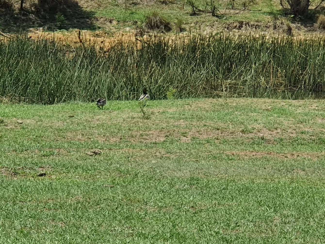 Additional image 7 of 370 Roswill Drive, Putty NSW 2330