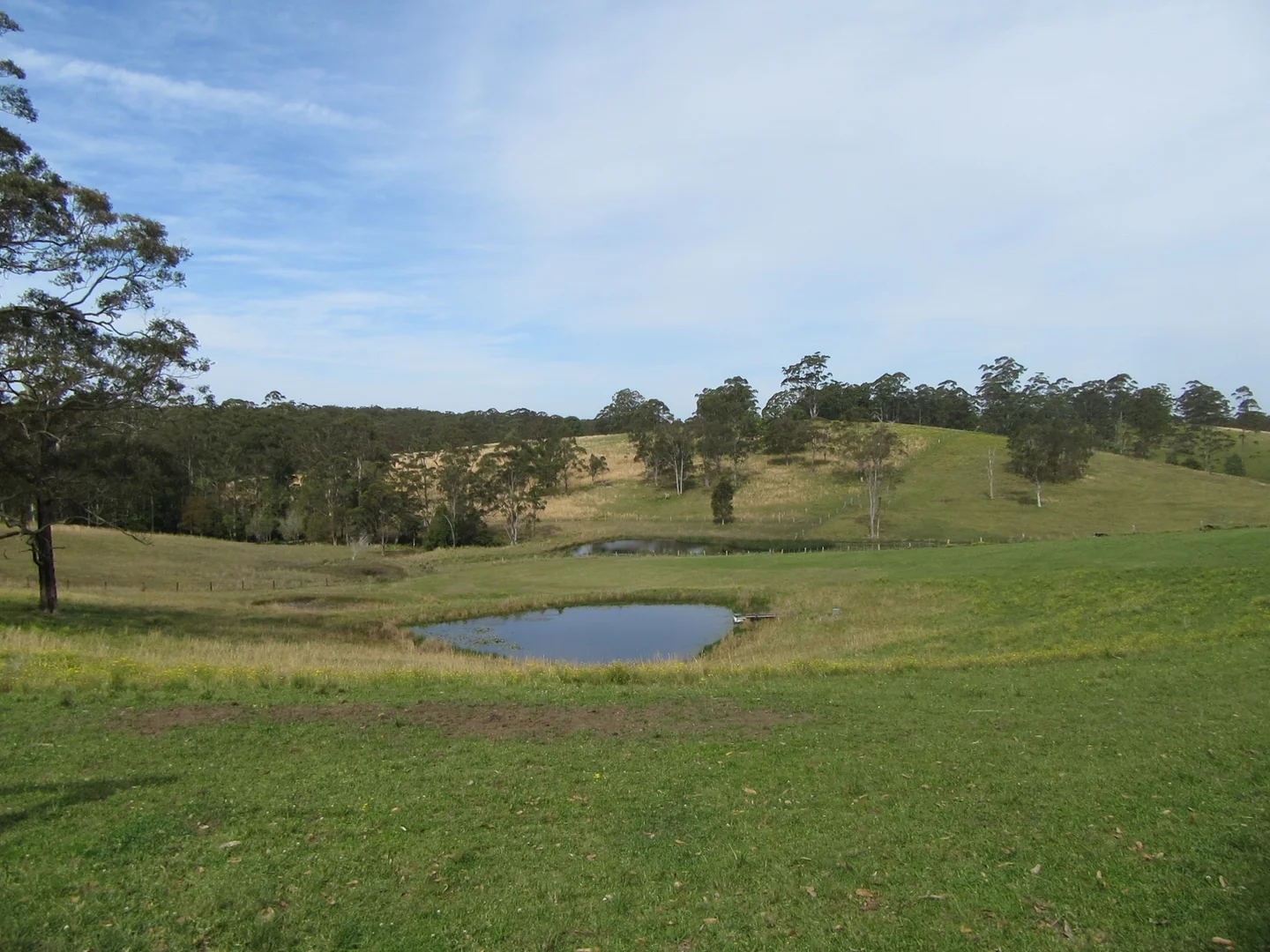Additional image 57 of 813 Newmans Road, Topi Topi NSW 2423