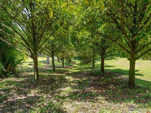 Additional image 34 of 176 Healy Road, Mirriwinni QLD 4871