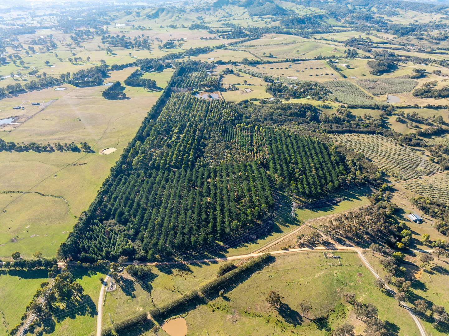 Additional image 12 of 252 Taggerty - Thornton Road, Taggerty VIC 3714