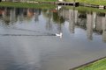 Additional image 2 of 7565 Shoreline Dr, Stockton, CA, 95219