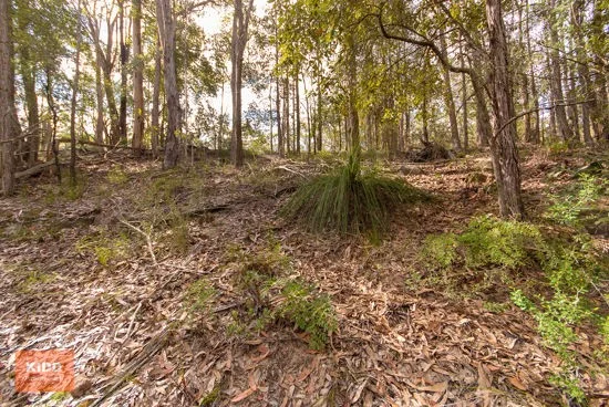 Additional image 10 of 62 Una Road, Bucketty NSW 2250