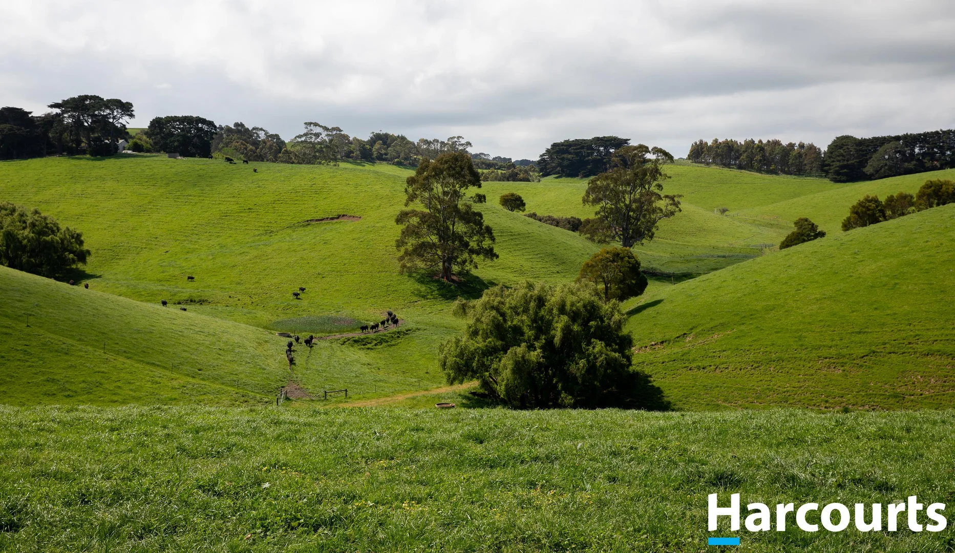 Additional image 10 of 715 Falls Road, Fish Creek VIC 3959