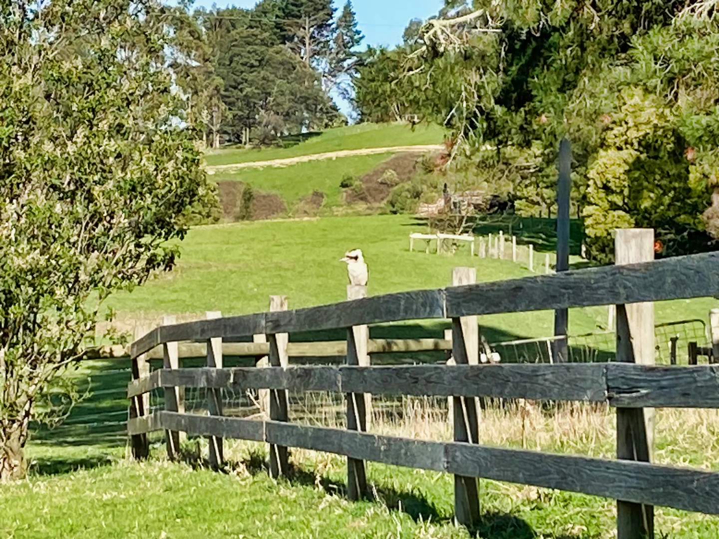 Additional image 21 of 1014 Ameys Track, Foster North VIC 3960