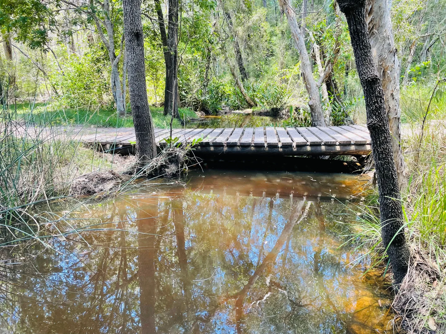 Additional image 7 of 264 Cooks Road, South Isis QLD 4660