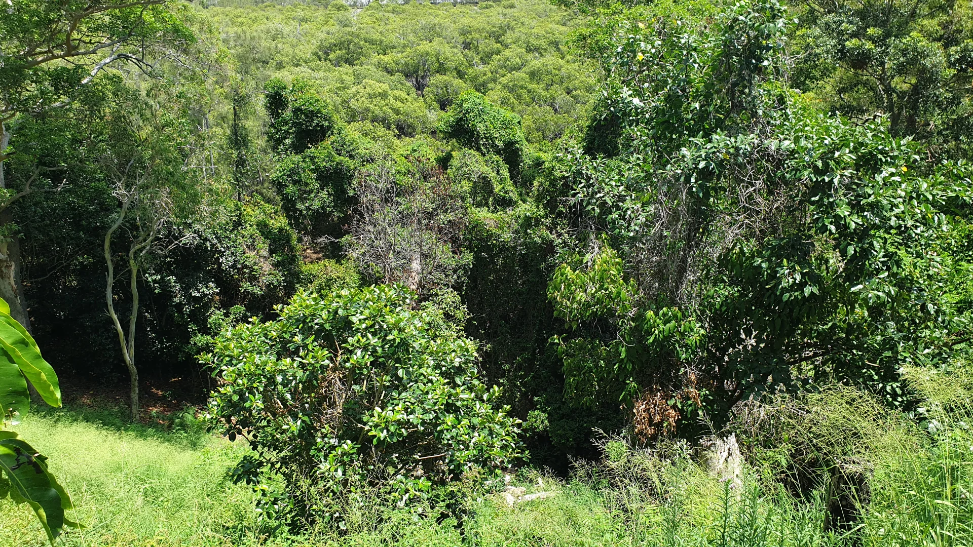 Additional image 2 of 13 Quarry Street, South West Rocks NSW 2431