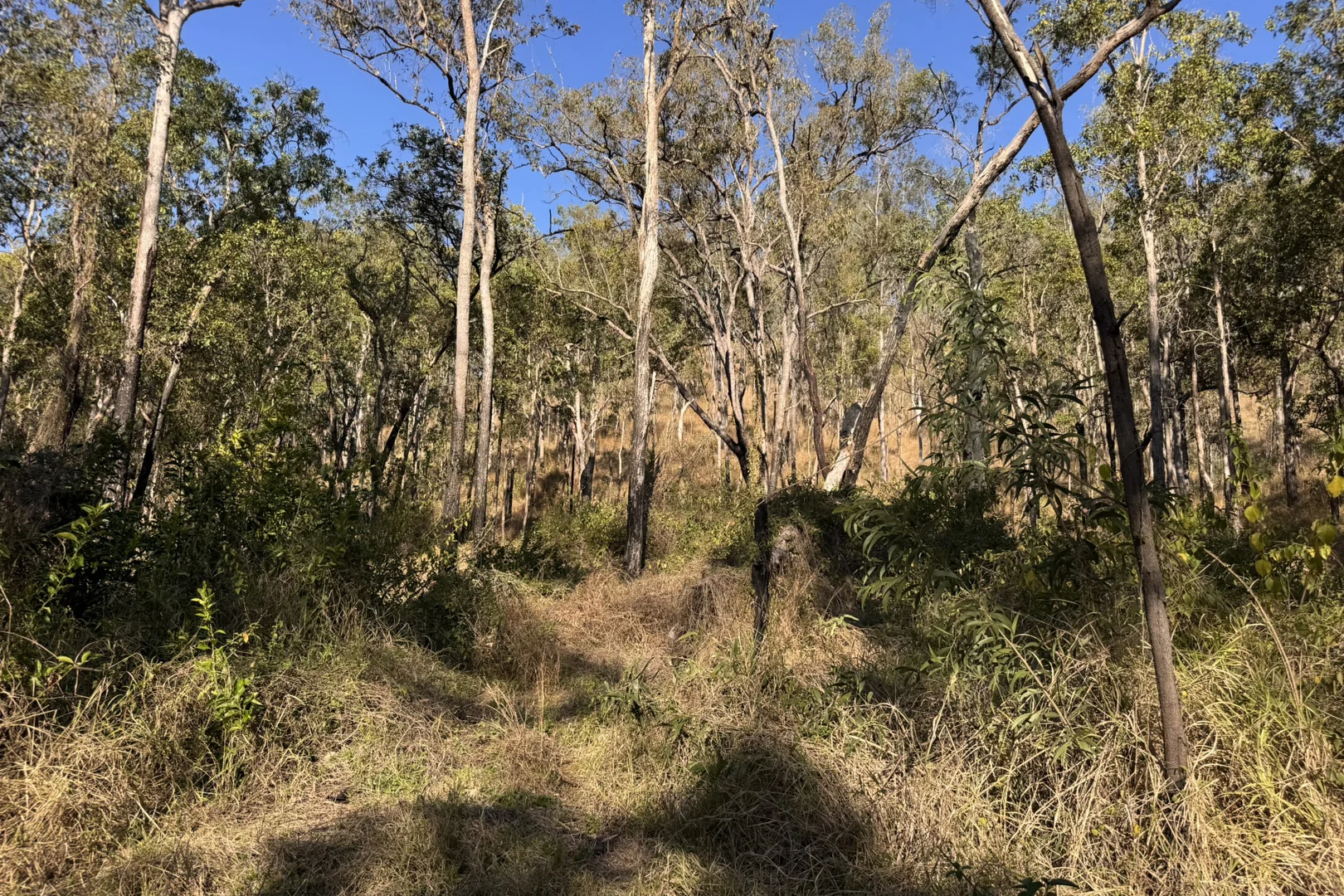 Additional image 11 of "Jalna" 266 Childs Road, Boyne Valley QLD 4680