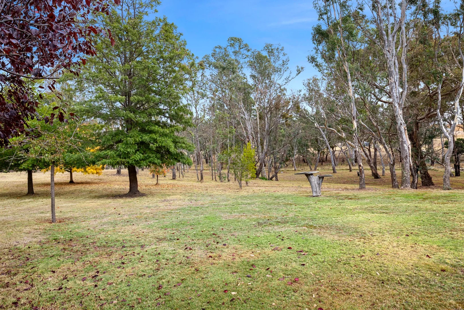 Additional image 20 of 127 Green Street, Elmhurst VIC 3469