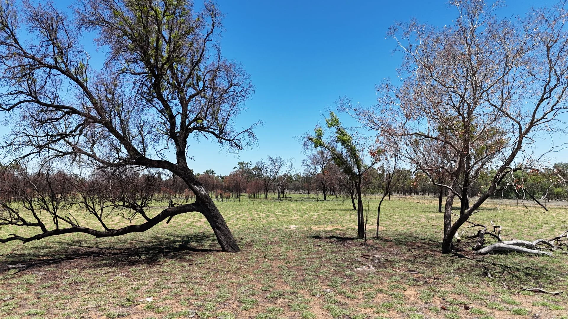 Additional image 12 of 202-410 Wallal Street, Bakers Bend QLD 4470