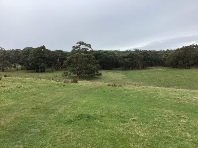 Additional image 16 of 236 Morrisons Lane, Korobeit VIC 3341