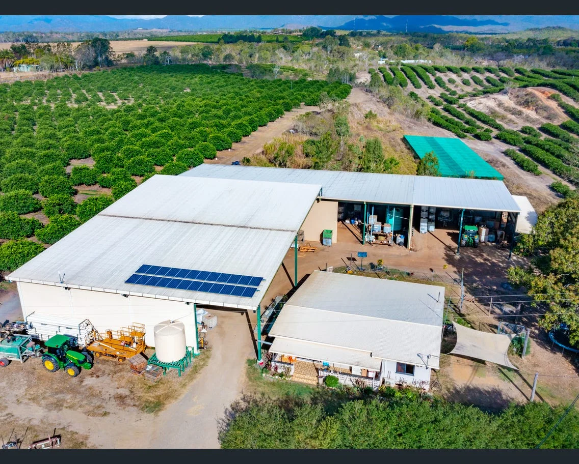 Additional image 14 of 22 LEONARDI ROAD, Mareeba QLD 4880