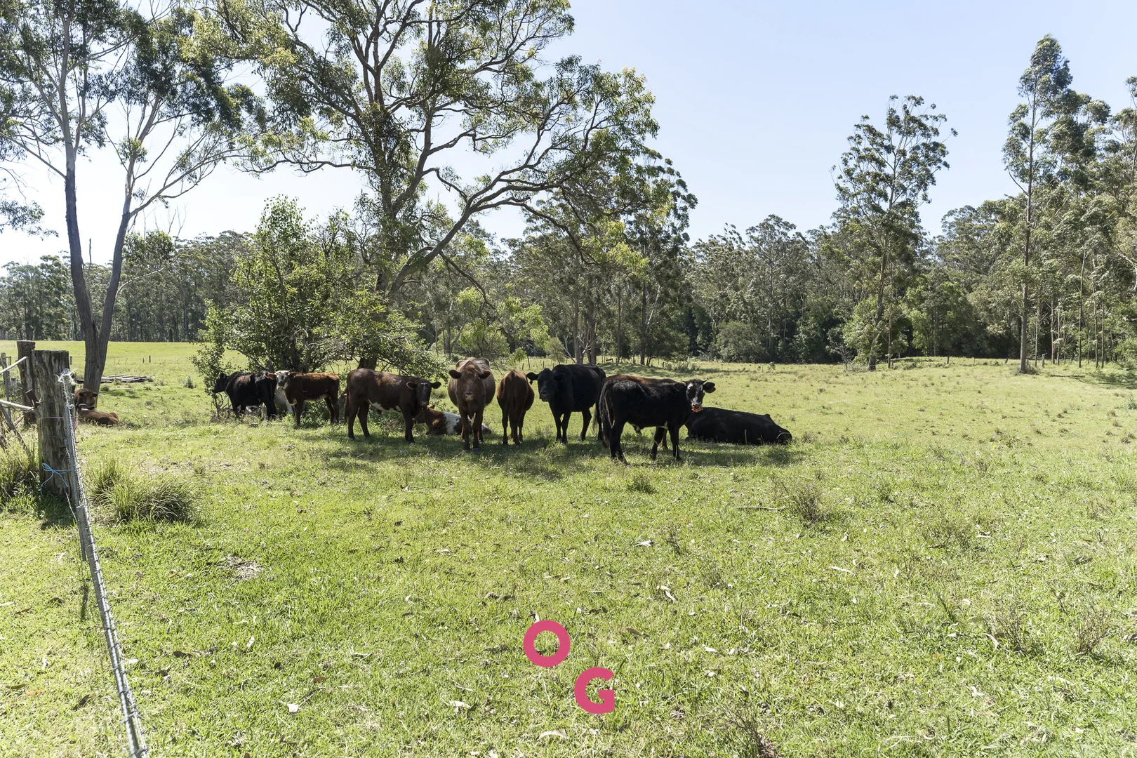 Additional image 43 of 136 Limeburners Creek Road, Limeburners Creek NSW 2324