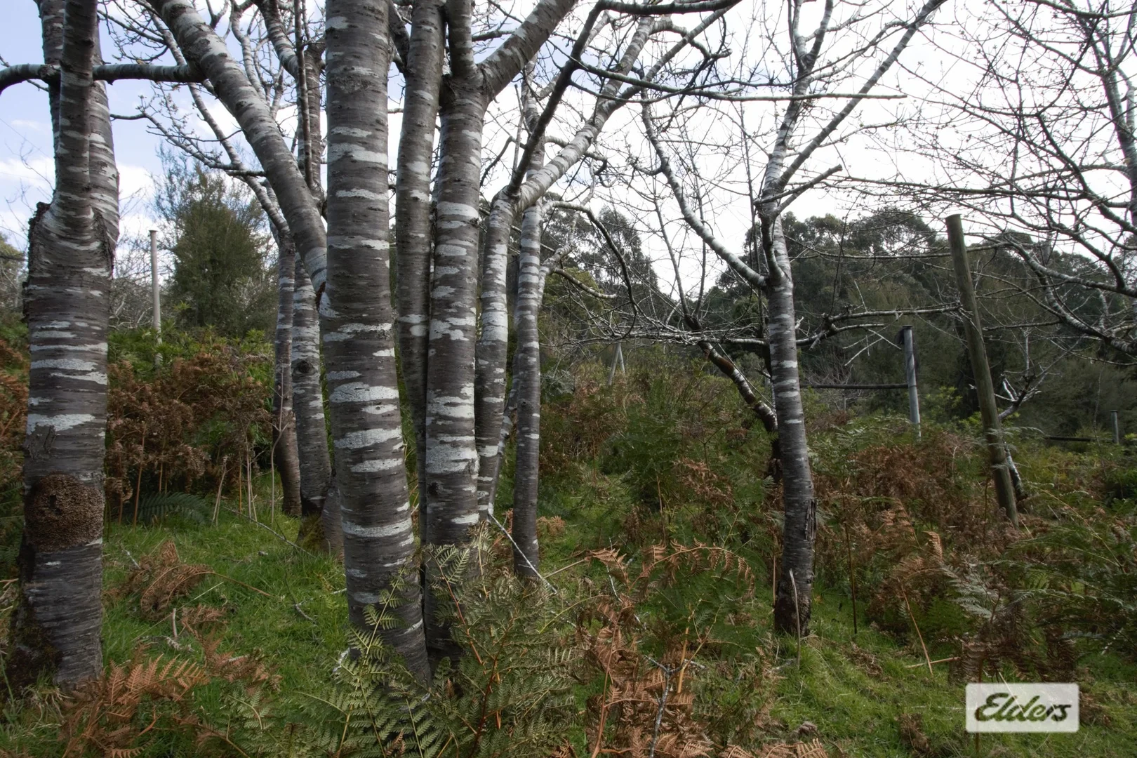 Additional image 17 of Sisters Road, Gormandale VIC 3873