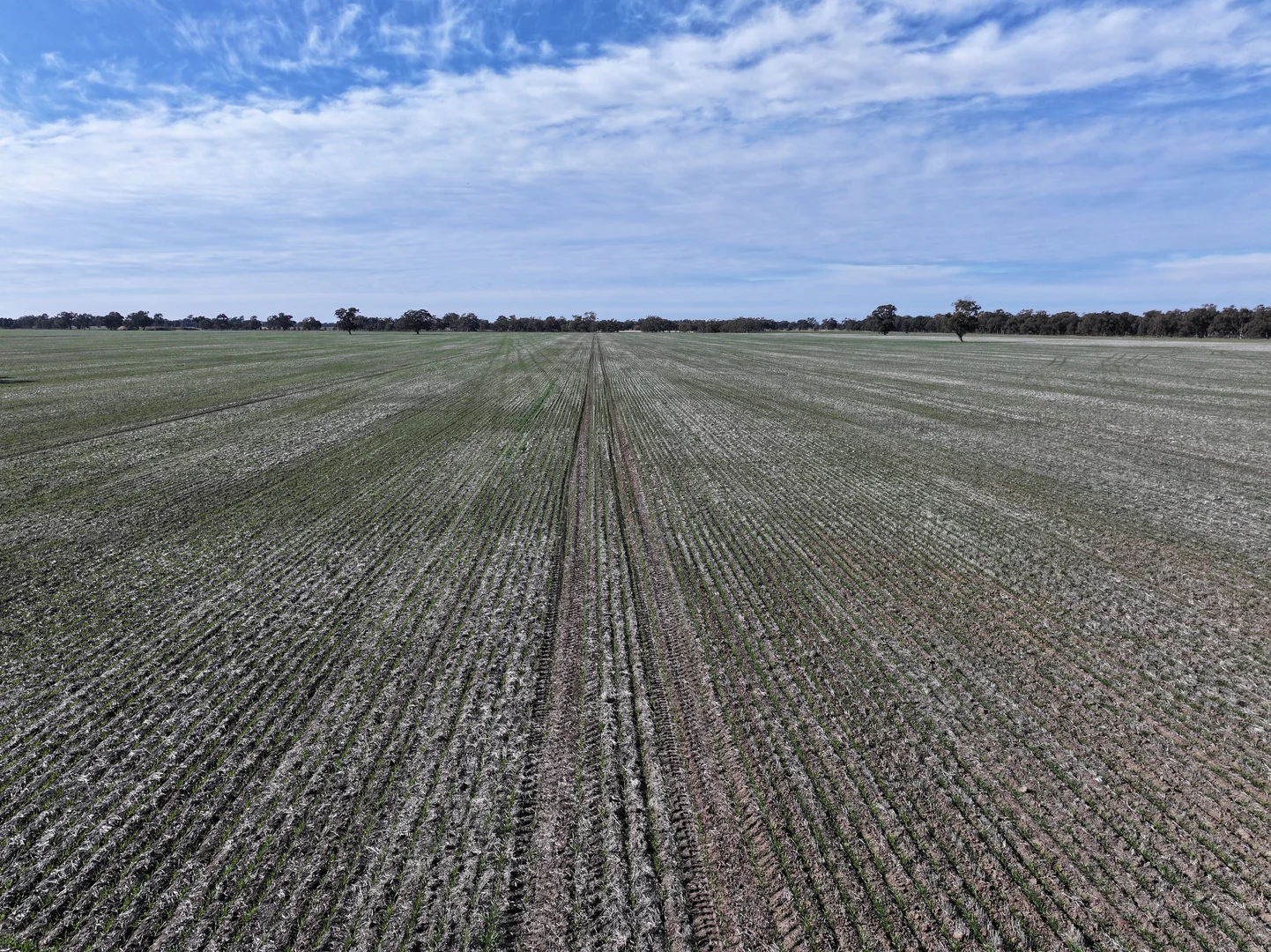 Additional image 14 of Berrigan Oaklands Road, Berrigan NSW 2712