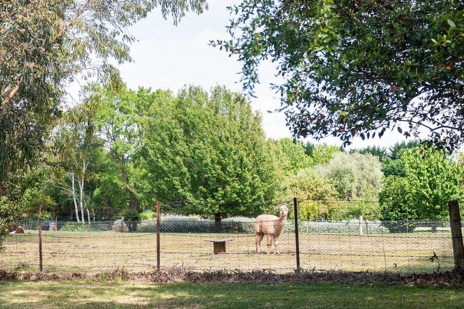 Additional image 22 of 545 Ellsmore Road, Exeter NSW 2579