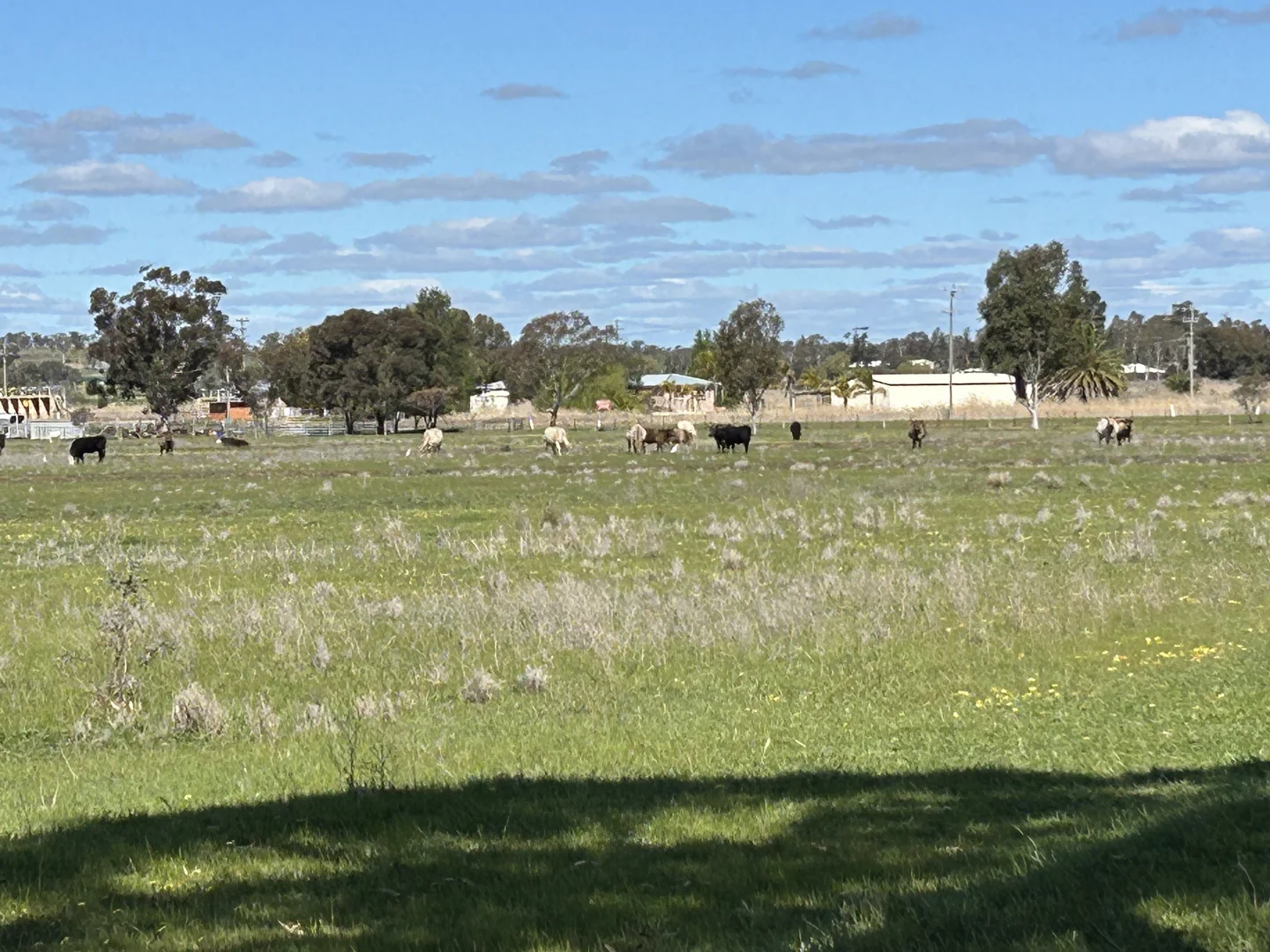 Additional image 16 of 119 Regulator Road, Yanco NSW 2703