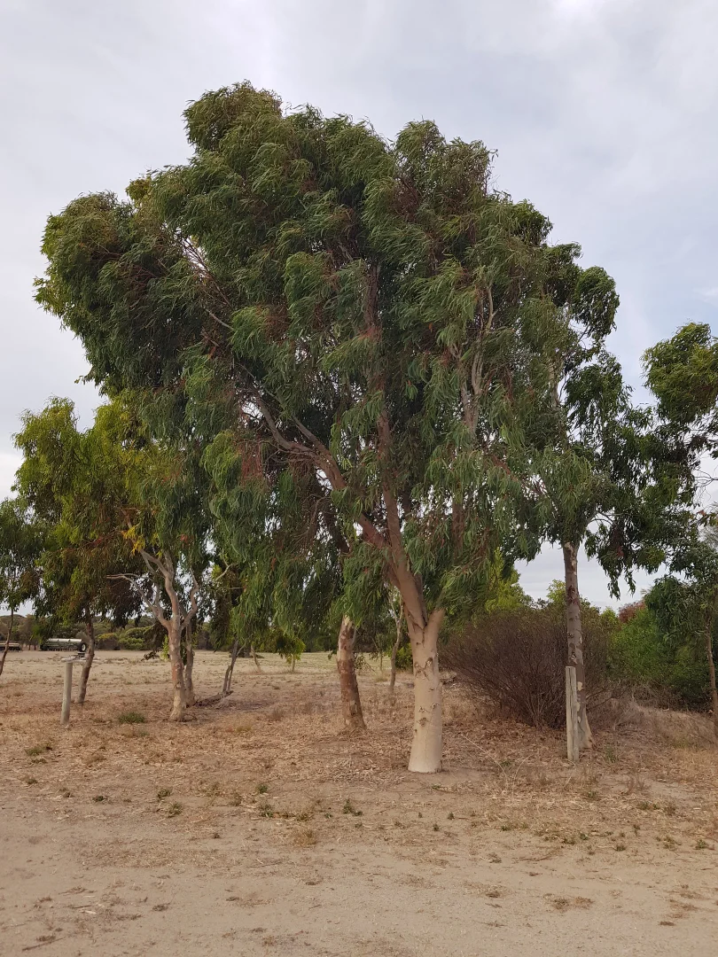 Additional image 28 of 17445 Yorke Hwy, Marion Bay SA 5575