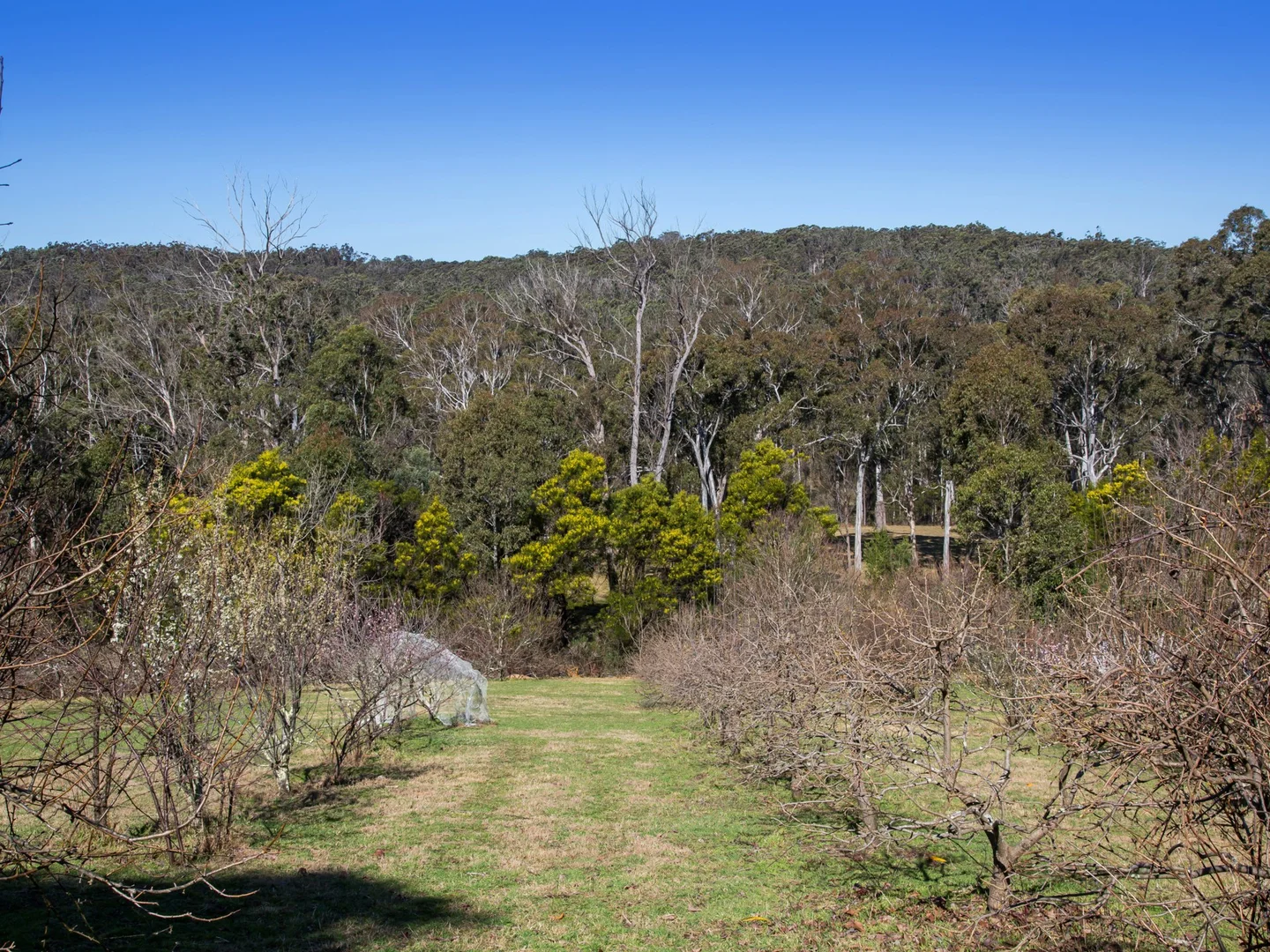 Additional image 10 of 170 Wattle Flats Road, Canyonleigh NSW 2577